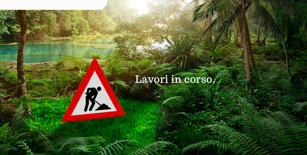 Lavori in corso